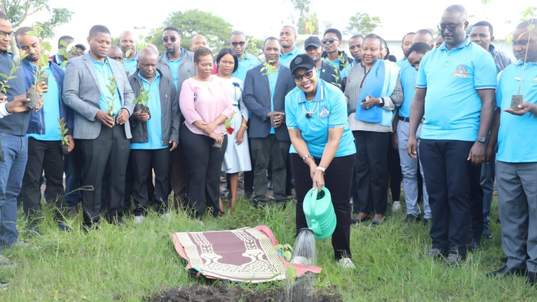 NHIF Yang'ara utunzaji wa mazingira Jijini Arusha
