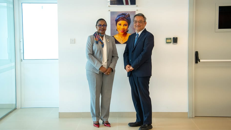 STRENGTHENING PARTNERSHIPS FOR RESILIENT AND INCLUSIVE HEALTH SYSTEMS